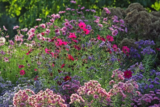 Autumn Garden