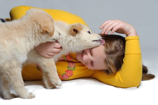 Two golden retriever puppies play with a teenage girl. One is licking the girls face. She is giggling.