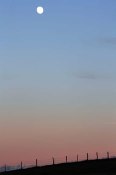 Evening mood with the moon