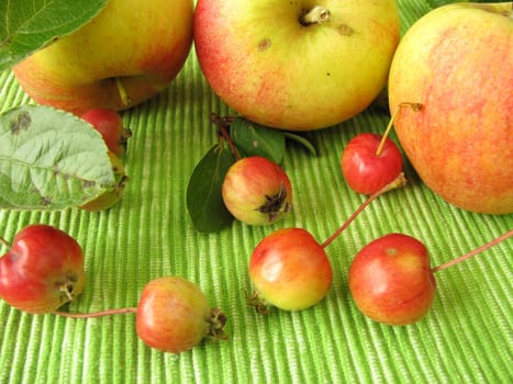 Apples and mini apples