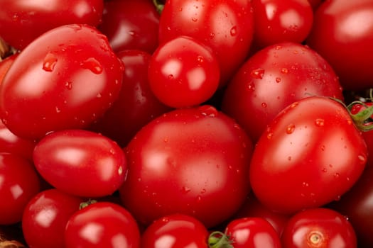 Many fresh different organic tomatoes with water drops