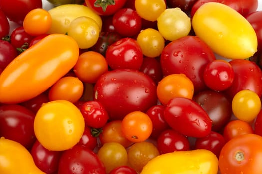 Many fresh different organic tomatoes with water drops