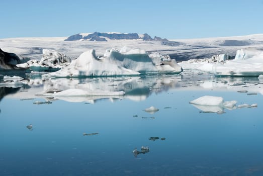 glacier reflected on the Jokulsarlon lake in Iceland