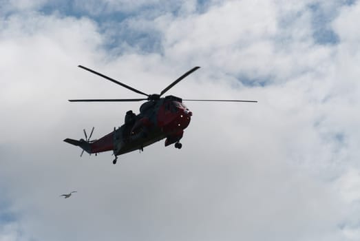 Helicopter rescue in Port Isaac in Cornwall with seagull