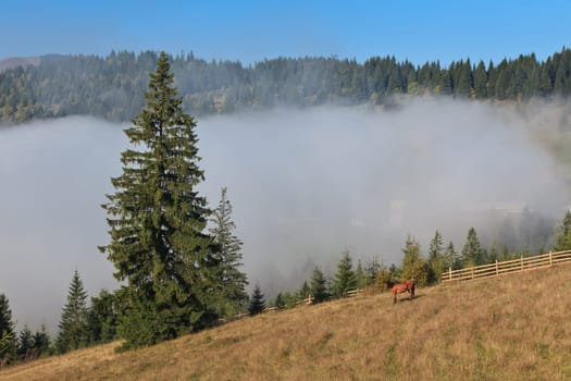 a rustic landscape with a horse grazing