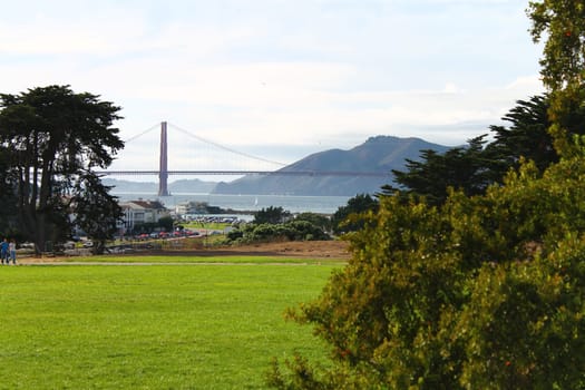 A shot of the Golden Gate bridge from the park