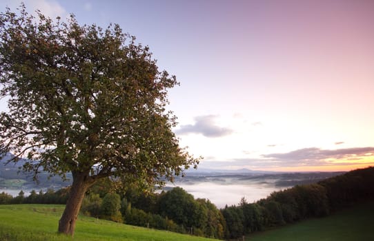 Autumnal sunrise