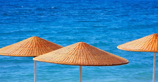 Beach umbrellas close up