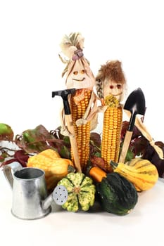 Various pumpkins and corn dolls against white background