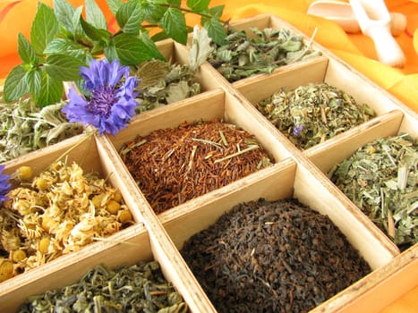Tea box with loose teas