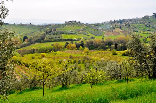 Typical Tuscany landscape in spring, Italy