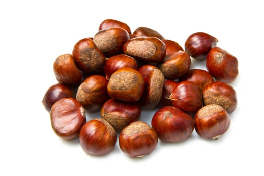 chestnut isoalted on white background