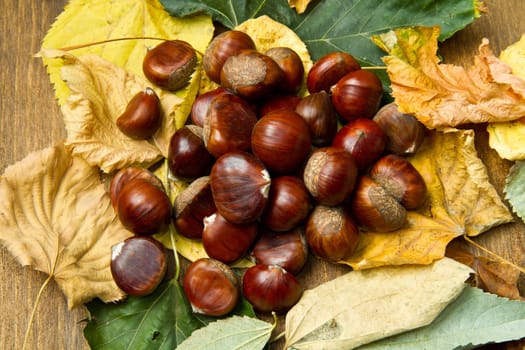 Chestnuts