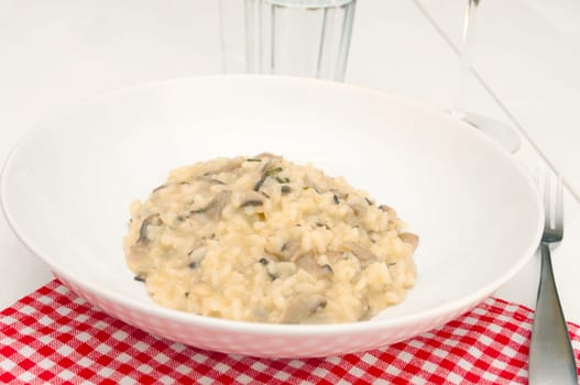 Typical Italian Food - Risotto With Mushrooms - Risotto Con Funghi