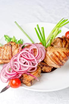 Grilled kebab meat with onion and tomato on a white plate
