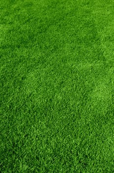 Photo of the beautiful green grass texture
