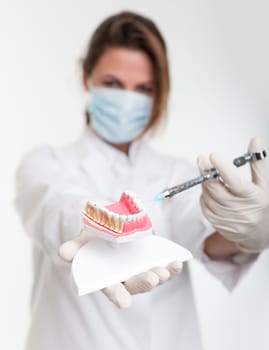 Female dentist holding a dentistry study model and a syringe
