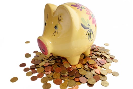 Piggy bank in different variations