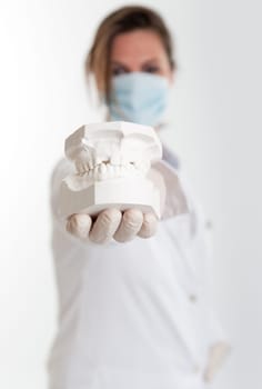 Female dentist holding a plaster mold of a denture to the camera