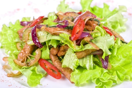 Salad of pork, courgette, lime with hazelnut and lettuce