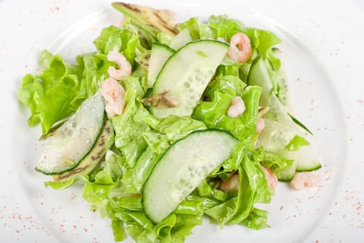 shrimp salad with cucumber and avocado