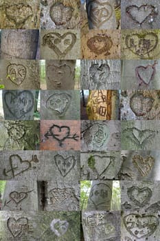 Tree Heart Collage