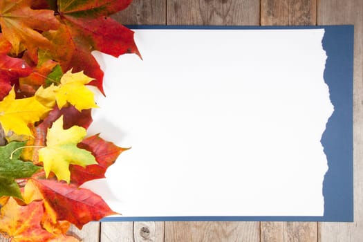 Autumn leaves on wooden background with white paper