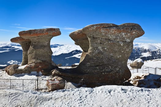 stone group named "Babele"" in Bucegi Mountains , Romania"