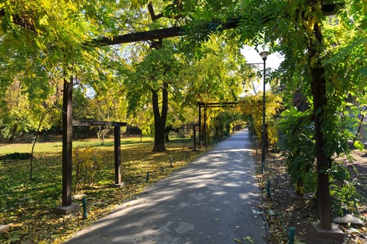 walk in the park in a day of autumn