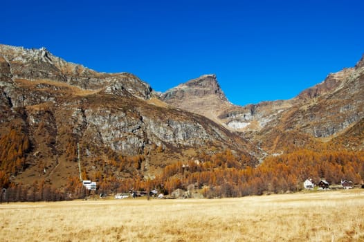 Autumnal scenery of golden meadow at mountanis