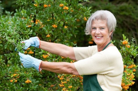 Active senior woman gardening