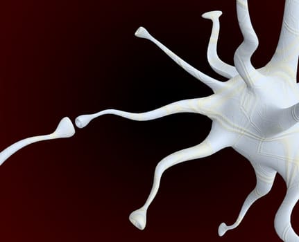 nerve cell