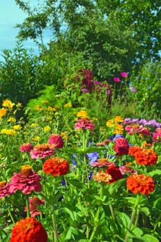 Flowerbed