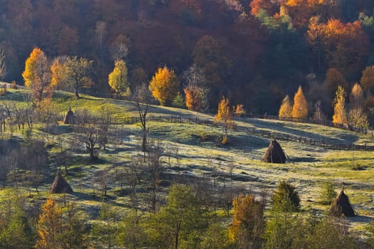 a rustic autumn pasture in the cold morning