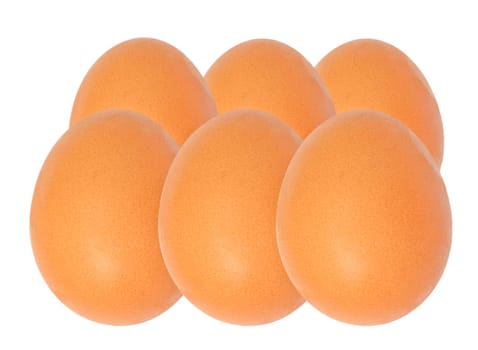 Egg isolated over white background