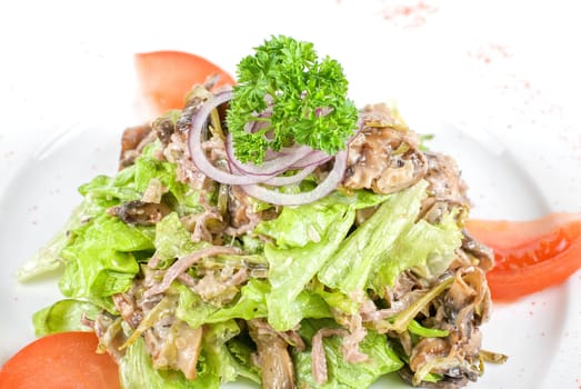 Mushrooms assortment fresh salad closeup at plate