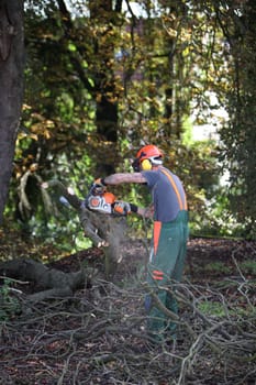 A lumberjack with a chainsaw - portrait format