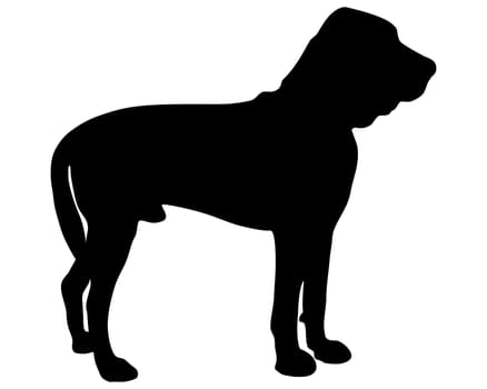 Bloodhound Silhouette