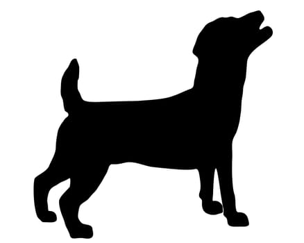 Jack Russel Terrier Silhouette