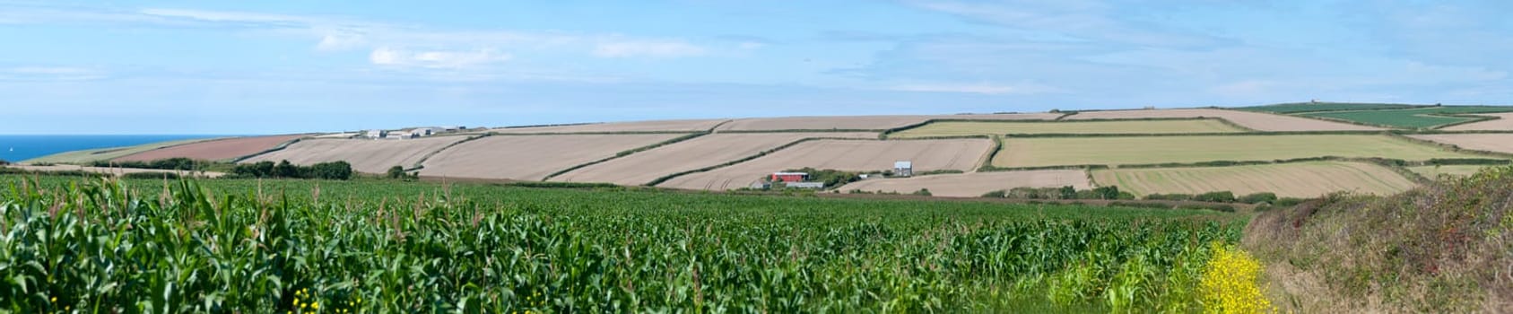 overview of cultivated fields near the sea in cornwall