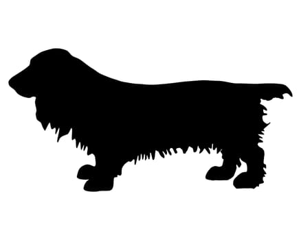 Field Spaniel Silhouette