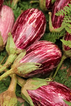 Italian aubergines