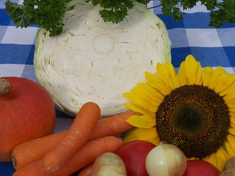Cabbage soup diet