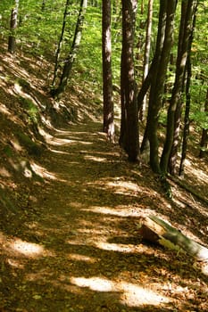 Hiking trail to Neuscharfeneck Castle