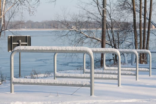 Winter walk on the Schwanenallee
