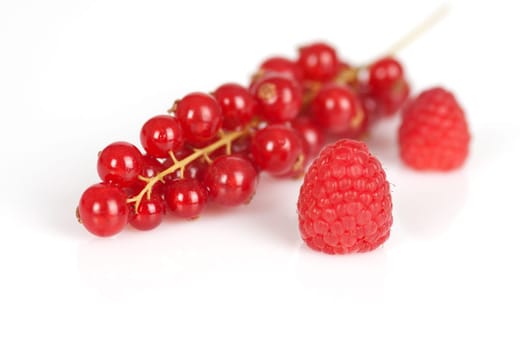 Currants and raspberries mixed