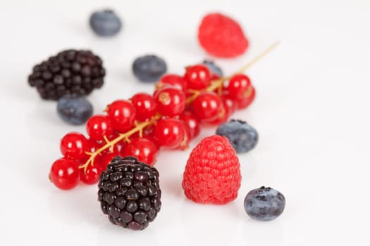 Mixed berries on a white background