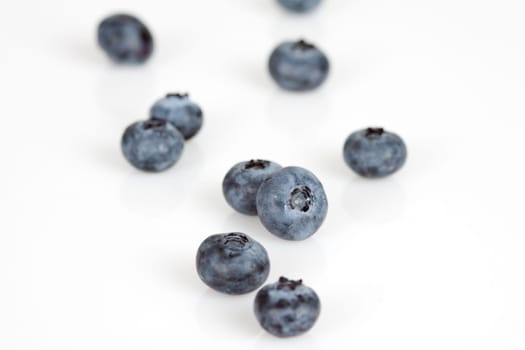 Blueberries on a white background