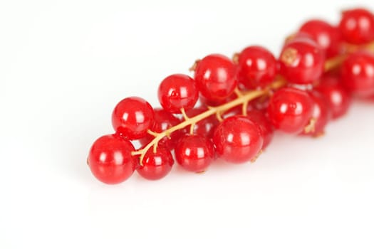 A panicle with currants