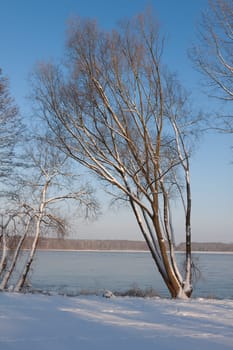 Winter walk along the Havel
